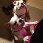 Winston & Harper Downey-Jones - @raceagaeagabababaed9205 - Instagram