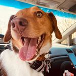 Winston Harper - @_winstonharper - Instagram