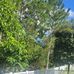 Winston Harper - Facebook