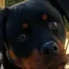 winstonharper626 - @winstonharper626 - TikTok