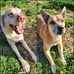 Winston Herbert - Facebook