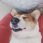 Winston Ho - @ohhhai2u - Instagram