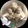 Winston Ho - @2155640825 - TikTok