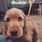 Winston Hooper-Morgan - @winstonhoopermorgan - Instagram