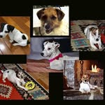 Winston Hodges - @winston.hodges - Instagram