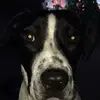 nellylou61 - @winstonholmes - TikTok