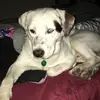 Winston - @winston_jackson1 - TikTok