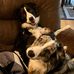 Winston &amp; Jackson - Facebook