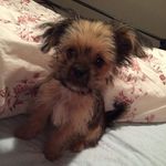 Winston Jackson - @winstonboijackson - Instagram