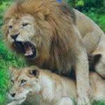 Winston Jackson - @albarry1961 - Instagram