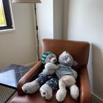 Winston Jiang - @theravenousrabbit2023 - Instagram