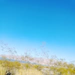 Winston Jimenez - @winston.jimenez.71 - Instagram