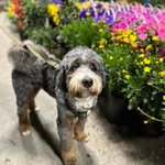 Winston Jimenez - @good.boy.winstonj - Instagram