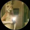Winston Jimenez - @winston.jimenez6 - TikTok