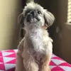 Winston - @kingwinston02 - TikTok
