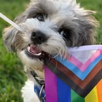 Winston (Winnie) Lynch - @wins2gram - Instagram