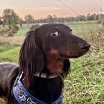 Winston Archibald Malcolm the third - @winstonmalcolm111 - Instagram