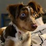 Winston Malcolm Aveni - @yung.winston18 - Instagram
