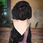 Winston Malcolm Rankin - @sirwinstonmalcolm - Instagram