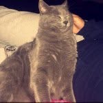 Winston Maynard - @winston_maynard - Instagram