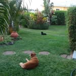 winston maynard - @winstonmaynard42 - Instagram