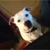 winstonmaynard855 - @winstonmaynard855 - TikTok