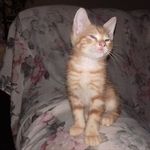 Winston Mohammed - @winston.mohammed.9 - Instagram