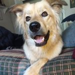Cooper Winston Moon - @coops.a.loops - Instagram