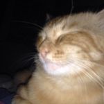 lxMonkeySlayer - @winston_moonium - Instagram