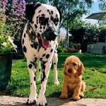 Winston And Dougie Moore - @wougie_2019 - Instagram