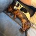 Winston Moore - Facebook
