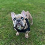 Winston Moore - @winstonmoore150 - Instagram