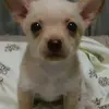 Winston Ochoa - @migueldavid992 - TikTok