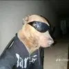 Winston Ochoa - @winstonochoa972 - TikTok