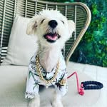 Winston Paul of Rutherford - @winstonpaulxo - Instagram