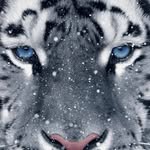 Winston Richard - @winston_paul1 - Instagram