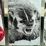 Winston Perry Owens - @winstonperryowens - Instagram