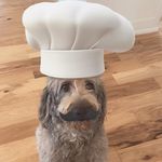 Winston B Pierce - @winstonbaxterdoo - Instagram