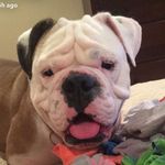 Winston Pierce - @winston_menacho_pierce - Instagram