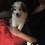Winston Pittman - @passinglane1000 - Instagram