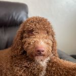 Winston Powell - @weeman.winston - Instagram