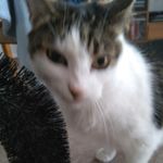 Winston Powell - @winston.powell.3760 - Instagram