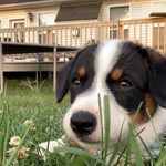 Winston Roach - @wins.ton803 - Instagram