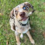 @winstonroacheata - Instagram