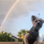 Winston - @winston.rodriguez_ - Instagram