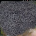 Winston Rowe - @winston.rowe.3956 - Instagram