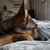 Winston Shepard - Facebook