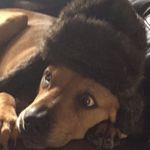 Winston Simonson - @winston.simons - Instagram