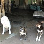Winston.Roscoe.Simon - @winston.roscoe.simon - Instagram