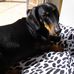 Winston Singleton - Facebook